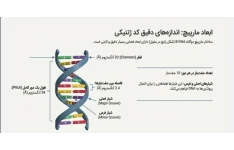 پاورپوینت تخصصی /PDF فصل 12 اصول بیوتکنولوژی گیاهی- مبحث کد ژنتیکی