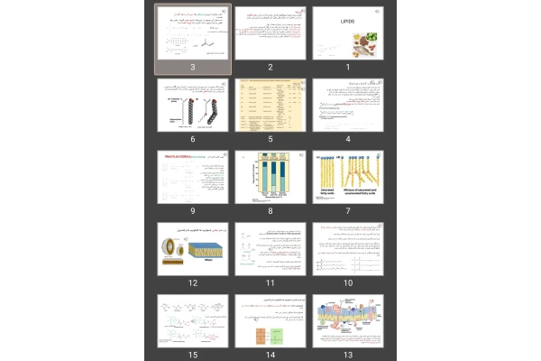 پاورپوینت Lipids