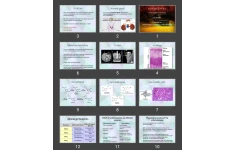 پاورپوینت Adrenal gland hormones