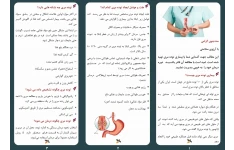 پمفلت آموزشی توده در مری