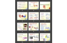 پاورپوینت PHYSIOLOGY OF HEARING