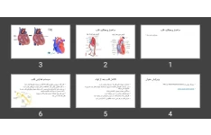 پاورپوینت ساختار و عملکرد قلب