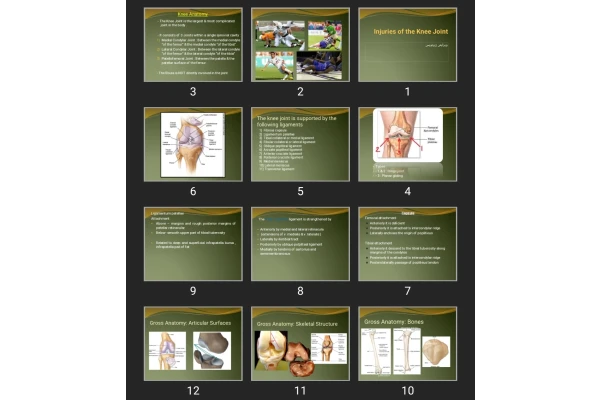 پاورپوینت Injuries of the Knee Joint