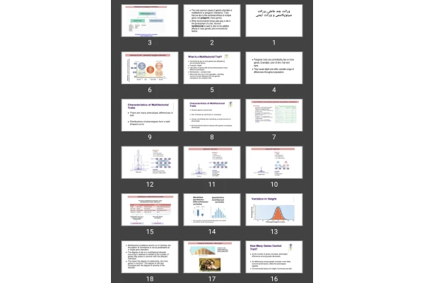 پاورپوینت وراثت چند عاملی، وراثت سیتوپلاسمی و وراثت ایمنی