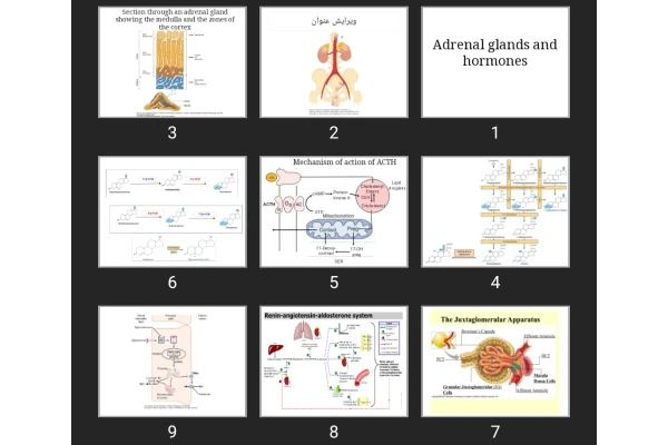 پاورپوینت Adrenal glands and hormones