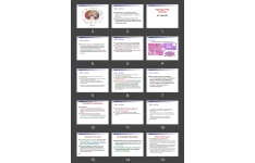 پاورپوینت Pathology of the Pancreas