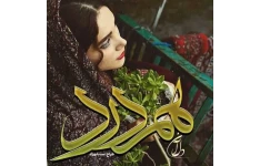 رمان همدرد ژانر عاشقانه و اجتماعی