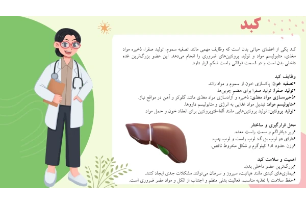پاورپوینت کبد چرب