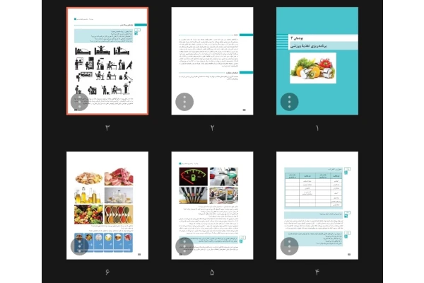 جزوه برنامه ریزی تغذیه ورزشی
