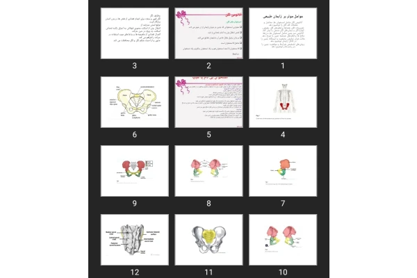 پاورپوینت عوامل موثر بر زایمان طبیعی