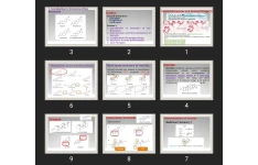 پاورپوینت Steroid Hormones and Related Drugs