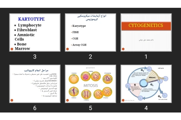 پاورپوینت CYTOGENETICS