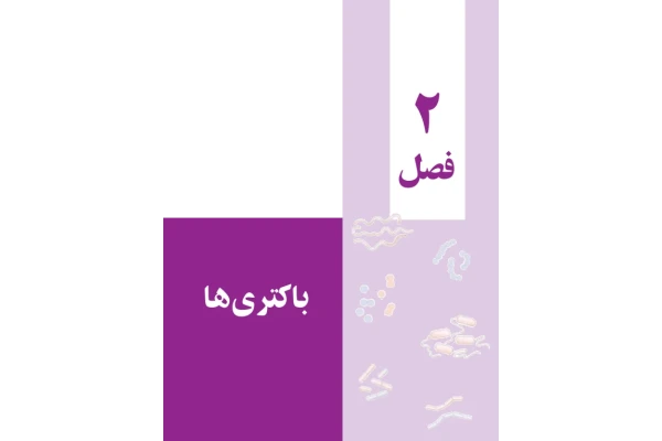 جزوه باکتری شناسی 🔬 نسخه کامل ✅