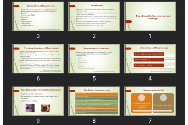 پاورپوینت Role of Amp B in Mucormycosis and Challenges