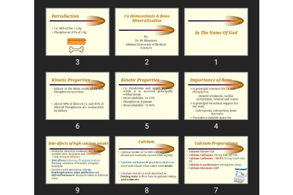 پاورپوینت Ca Homeostasis & Bone Mineralization