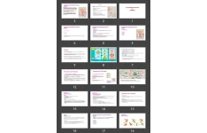 پاورپوینت The Gonadal Hormones & Inhibitors