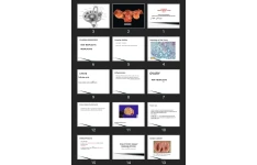 پاورپوینت PATHOLOGY FEMALE GENITAL SYSTEM Part 3