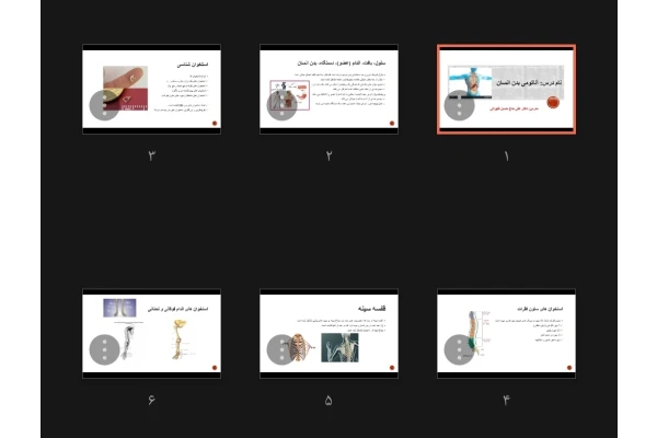 جزوه آناتومی بدن انسان