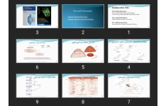 پاورپوینت Steroid Hormone