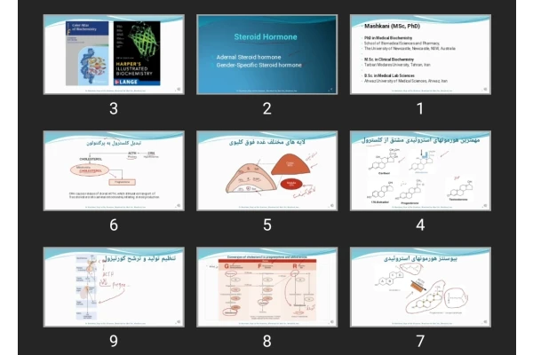پاورپوینت Steroid Hormone