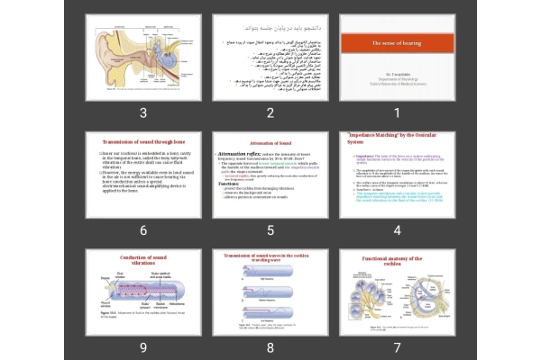 پاورپوینت  The sense of hearing