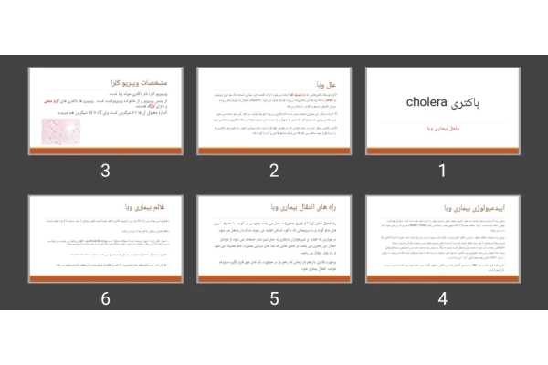 پاورپوینت باکتری cholera