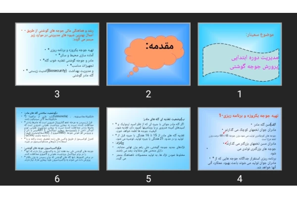 پاورپوینت مدیریت دوره ابتدایی پرورش جوجه گوشتی