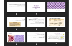 پاورپوینت Acute and Chronic Inflammation