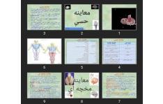 پاورپوینت معاينه حسی