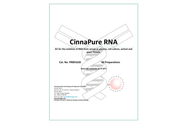 استخراج RNA 🔬 نسخه کامل ✅