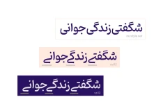 دانلود مجموعه فونت پینار