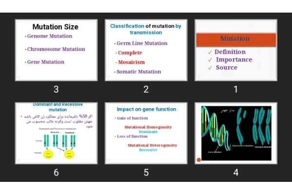 پاورپوینت Mutation
