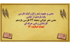 پاورپوینت معنی و مفهوم شعر زاغ و کبک فارسی  پایه یازدهم از جامی