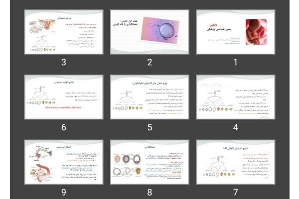 پاورپوینت هفته اول تکوین تخمک گذاری تا لانه گزینی