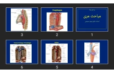 پاورپوینت مباحث مری