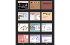 پاورپوینت Pathophysiology of Anemia