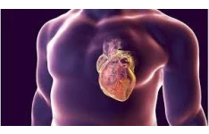   پاورپوینت بیماری های میوکارد قلبی