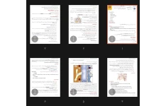 جزوه اختلالات و بیماری‌های پلور