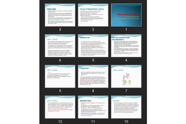 پاورپوینت Megaloblastic Anemias