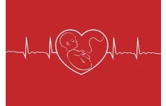   پاورپوینت ضربان قلب جنین FETAL HEART RATE