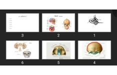 پاورپوینت Skull جمجمه