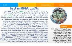 استخراج mRNA در ویروس های RNA دار (مثل کرونا) 🔬 نسخه کامل ✅