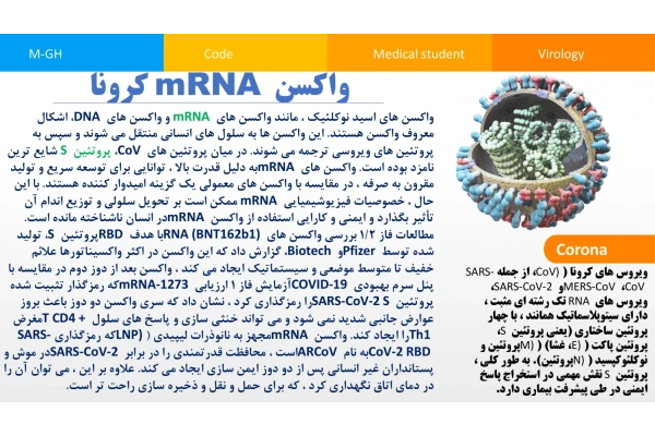 استخراج mRNA در ویروس های RNA دار (مثل کرونا) 🔬 نسخه کامل ✅