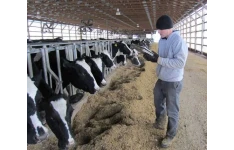 تست های تشخیصی دام های بزرگ در گاو داری - ۲۴ ص