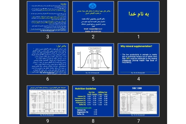 پاورپوینت چالش های مهم استفاده از مکمل های مواد معدنی در تغذیه گاوهای شیری