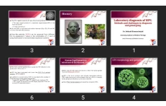 پاورپوینت Laboratory diagnosis of HPV; Methods and challenges in diagnosis and genotyping