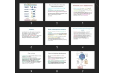 پاورپوینت Immediate (Type I) Hypersensitivity