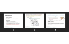 پاورپوینت external otitis