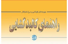 راهنمای کالبدگشایی جوجه گوشتی و مرغ تخم گذار - ۳۸ صفحه