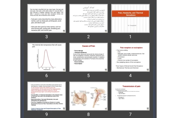 پاورپوینت Pain, Headache, and Thermal Sensations